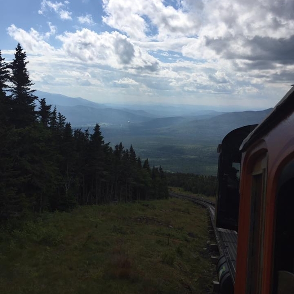 Meet your Posher, Michelle - Picture 1 of 1